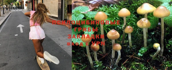 кристаллы Ельня
