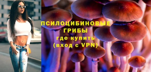 кристаллы Ельня