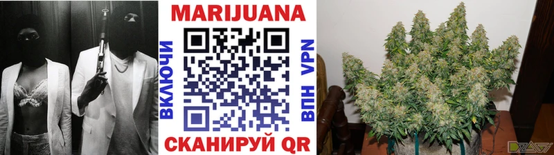 магазин  наркотиков  Каргополь  блэк спрут маркетплейс  Бошки Шишки THC 21% 